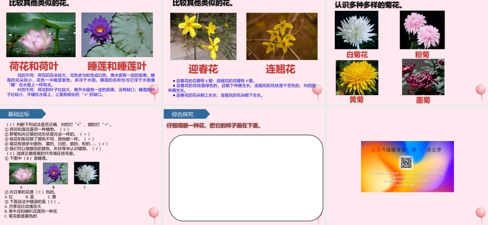 一年级科学下册 第三单元 和植物捏个手 9看花认植物课件 青岛版六三制-青岛版小学一年级下册自然科学课件