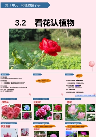 一年级科学下册 第三单元 和植物捏个手 9看花认植物课件 青岛版六三制-青岛版小学一年级下册自然科学课件