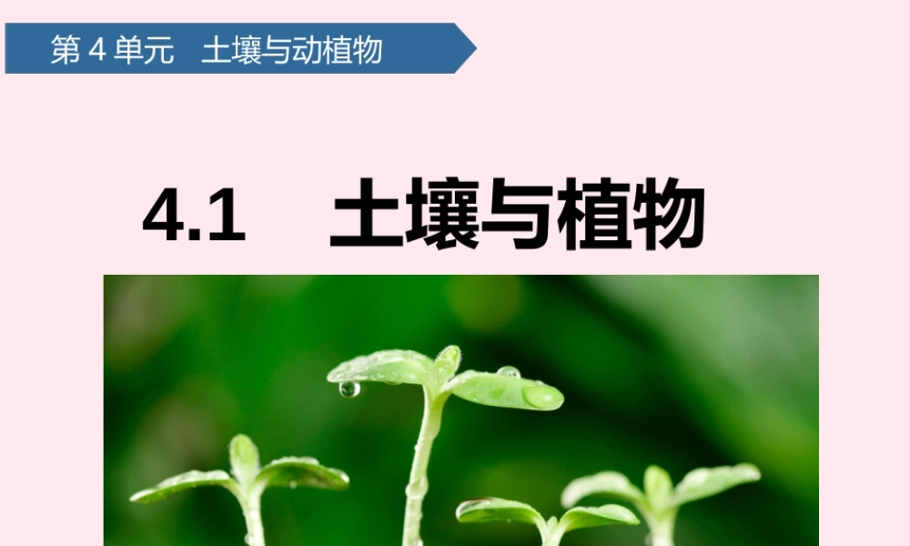 一年级科学下册 第四单元 土壤与动植物 12土壤与植物课件 青岛版六三制-青岛版小学一年级下册自然科学课件