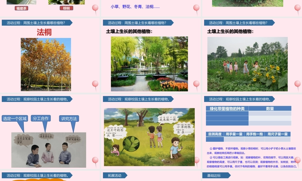 一年级科学下册 第四单元 土壤与动植物 12土壤与植物课件 青岛版六三制-青岛版小学一年级下册自然科学课件