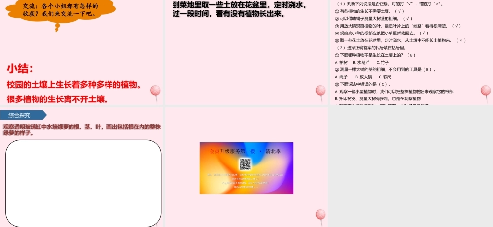 一年级科学下册 第四单元 土壤与动植物 12土壤与植物课件 青岛版六三制-青岛版小学一年级下册自然科学课件