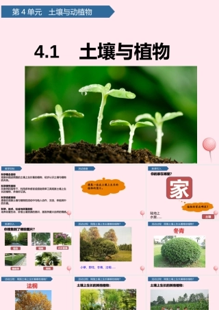 一年级科学下册 第四单元 土壤与动植物 12土壤与植物课件 青岛版六三制-青岛版小学一年级下册自然科学课件