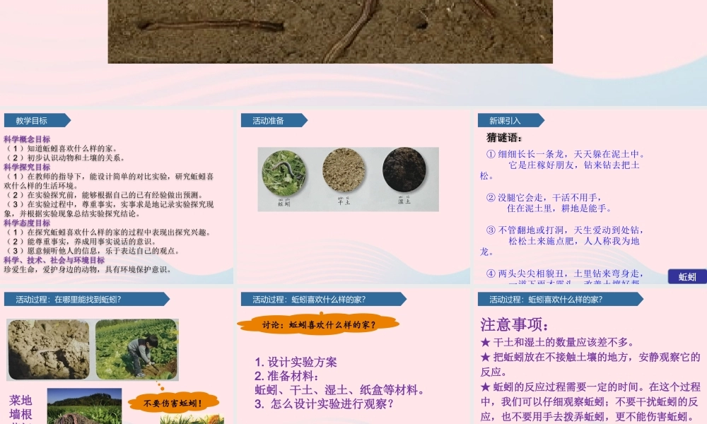 一年级科学下册 第四单元 土壤与动植物 13蚯蚓的家课件 青岛版六三制-青岛版小学一年级下册自然科学课件