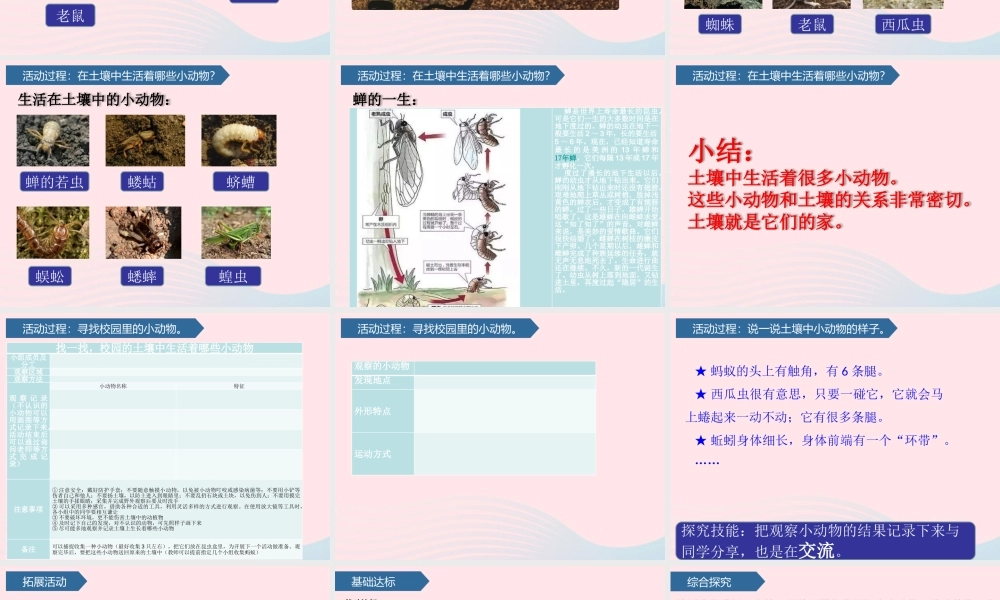 一年级科学下册 第四单元 土壤与动植物 14土壤中的小动物课件 青岛版六三制-青岛版小学一年级下册自然科学课件