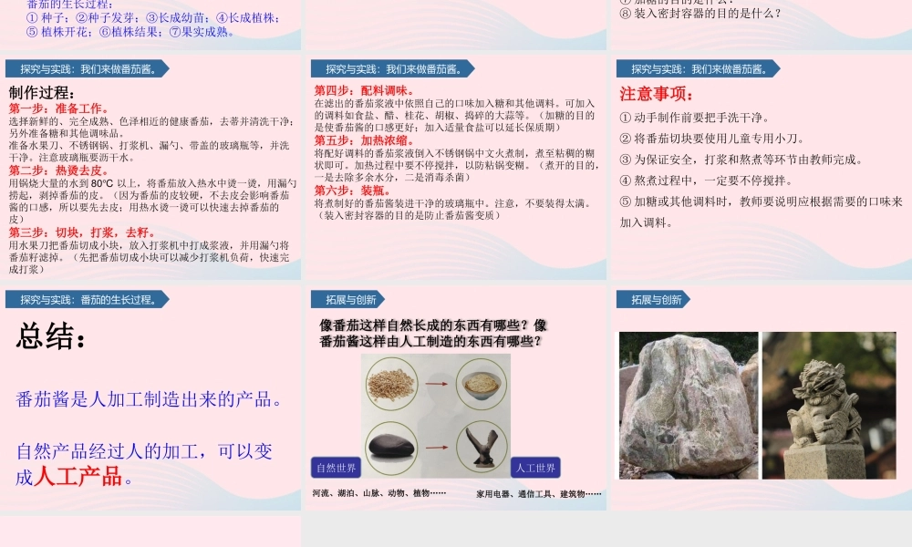 一年级科学下册 第五单元 我们的产品 15番茄与番茄酱课件 青岛版六三制-青岛版小学一年级下册自然科学课件