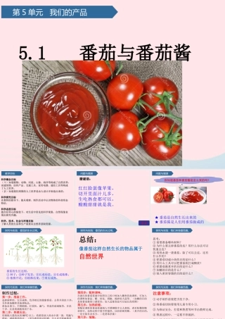 一年级科学下册 第五单元 我们的产品 15番茄与番茄酱课件 青岛版六三制-青岛版小学一年级下册自然科学课件