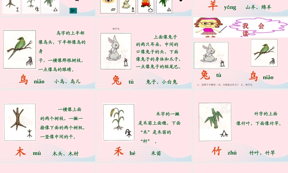 一年级语文上册 识字（一）第3课《口耳目》课件 新人教版-新人教版小学一年级上册语文课件