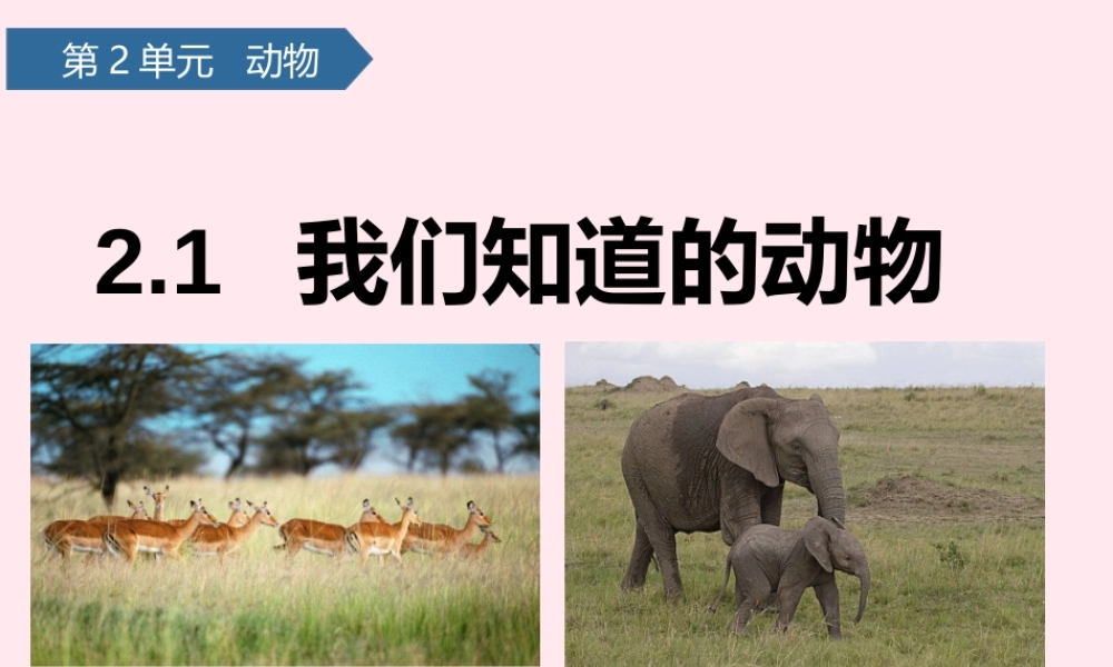 一年级科学下册 动物 1我们知道的动物课件 教科版-教科版小学一年级下册自然科学课件