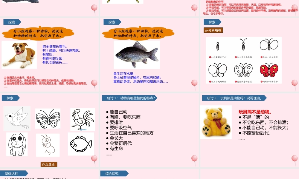 一年级科学下册 动物 1我们知道的动物课件 教科版-教科版小学一年级下册自然科学课件