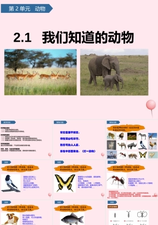 一年级科学下册 动物 1我们知道的动物课件 教科版-教科版小学一年级下册自然科学课件