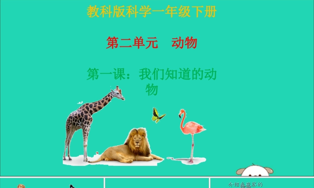 一年级科学下册 动物 2.1《我们知道的动物》课件 教科版-教科版小学一年级下册自然科学课件
