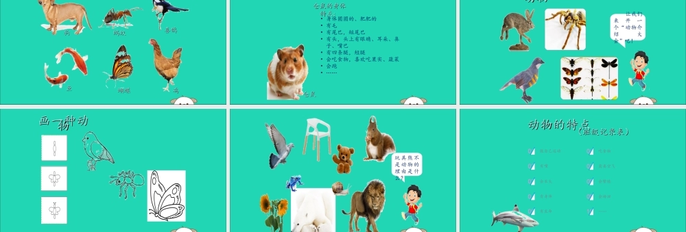 一年级科学下册 动物 2.1《我们知道的动物》课件 教科版-教科版小学一年级下册自然科学课件