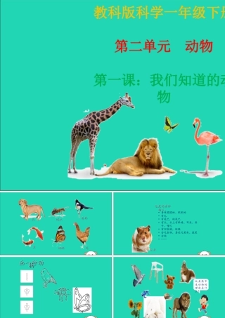 一年级科学下册 动物 2.1《我们知道的动物》课件 教科版-教科版小学一年级下册自然科学课件