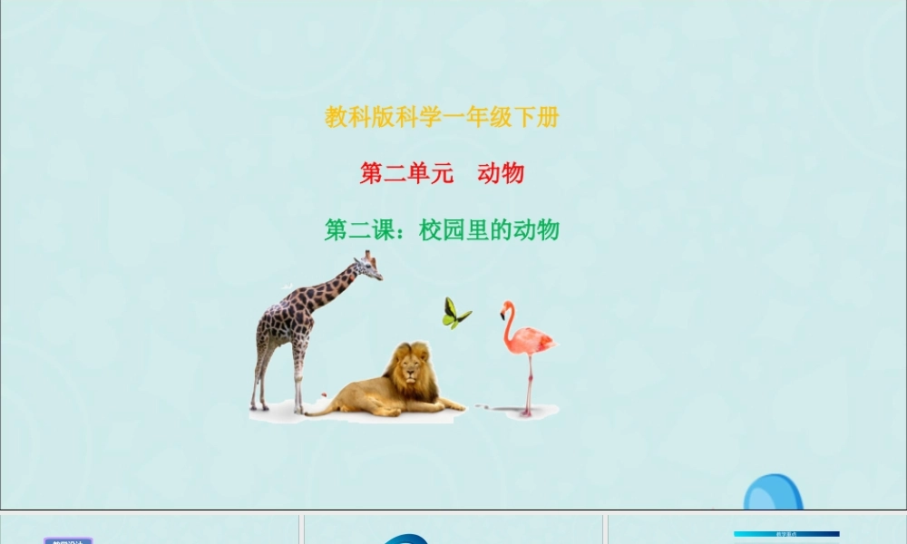 一年级科学下册 动物 2.2《校园里的动物》课件 教科版-教科版小学一年级下册自然科学课件
