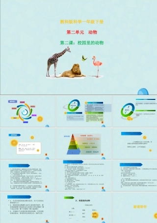 一年级科学下册 动物 2.2《校园里的动物》课件 教科版-教科版小学一年级下册自然科学课件