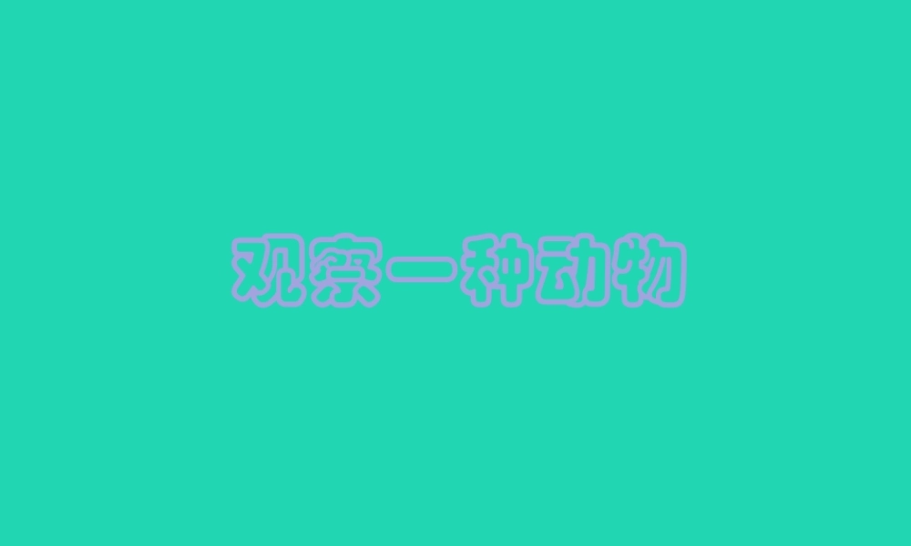 一年级科学下册 动物 2.3《观察一种动物》课件 教科版-教科级下册自然科学课件