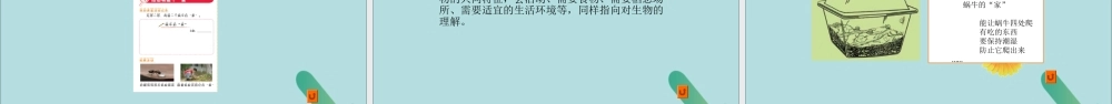一年级科学下册 动物 2.4《给动物建个“家”》课件 教科版-教科版小学一年级下册自然科学课件