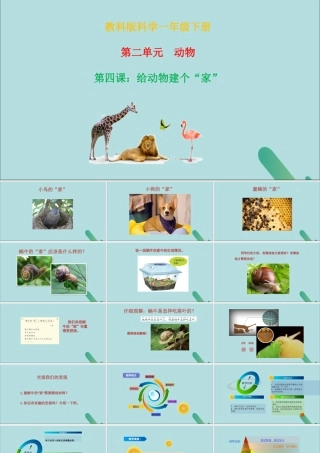 一年级科学下册 动物 2.4《给动物建个“家”》课件 教科版-教科版小学一年级下册自然科学课件