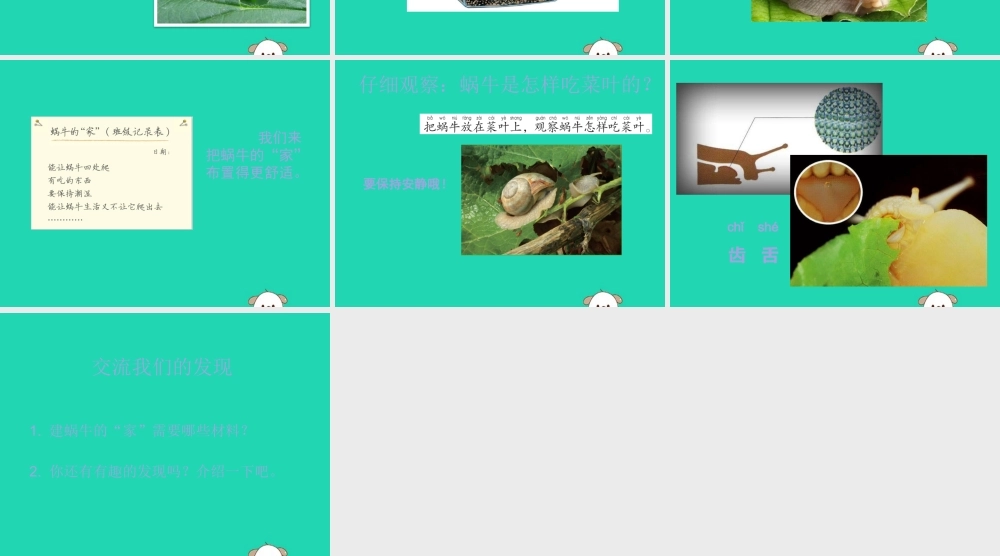 一年级科学下册 动物 2.4《给动物建个“家”》课件 教科版-教科级下册自然科学课件