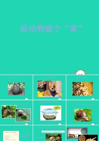 一年级科学下册 动物 2.4《给动物建个“家”》课件 教科版-教科级下册自然科学课件