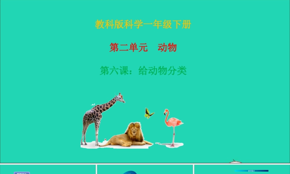 一年级科学下册 动物 2.6《给动物分类》课件 教科版-教科版小学一年级下册自然科学课件