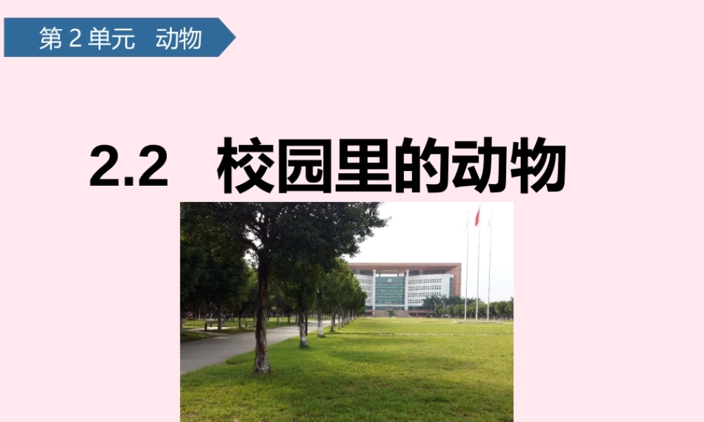 一年级科学下册 动物 2校园里的动物课件 教科版-教科版小学一年级下册自然科学课件