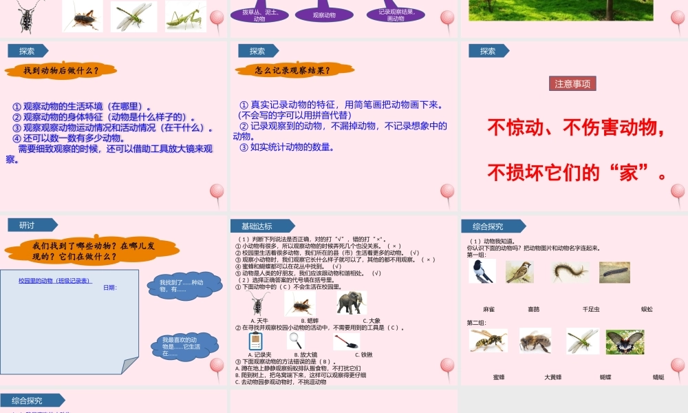 一年级科学下册 动物 2校园里的动物课件 教科版-教科版小学一年级下册自然科学课件