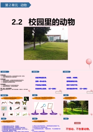 一年级科学下册 动物 2校园里的动物课件 教科版-教科版小学一年级下册自然科学课件