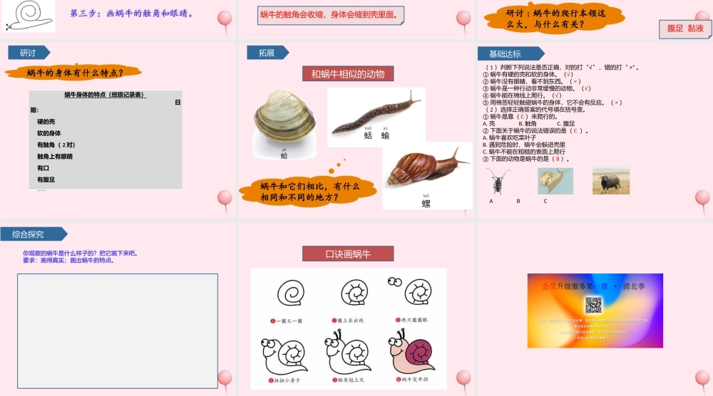 一年级科学下册 动物 3观察一种动物课件 教科版-教科版小学一年级下册自然科学课件