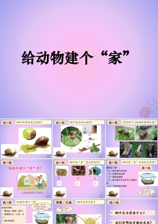 一年级科学下册 动物 4给动物建个“家”课件 教科版-教科版小学一年级下册自然科学课件