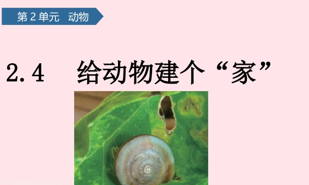 一年级科学下册 动物 4给动物建个家课件 教科版-教科版小学一年级下册自然科学课件