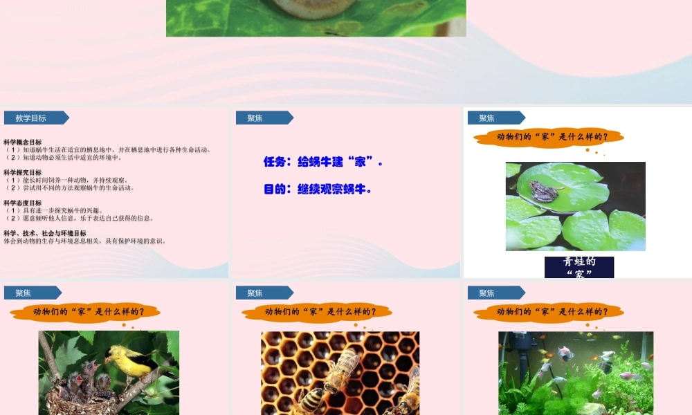 一年级科学下册 动物 4给动物建个家课件 教科版-教科版小学一年级下册自然科学课件