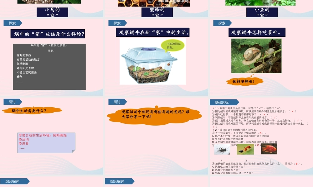 一年级科学下册 动物 4给动物建个家课件 教科版-教科版小学一年级下册自然科学课件