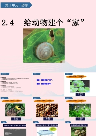 一年级科学下册 动物 4给动物建个家课件 教科版-教科版小学一年级下册自然科学课件