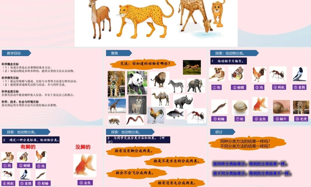 一年级科学下册 动物 6给动物分类课件 教科版-教科版小学一年级下册自然科学课件