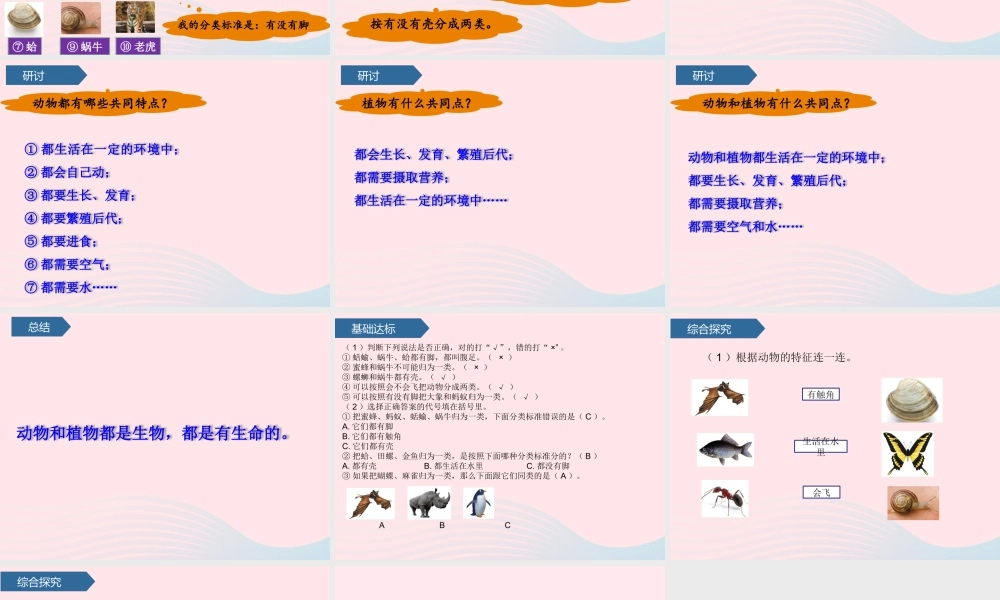 一年级科学下册 动物 6给动物分类课件 教科版-教科版小学一年级下册自然科学课件