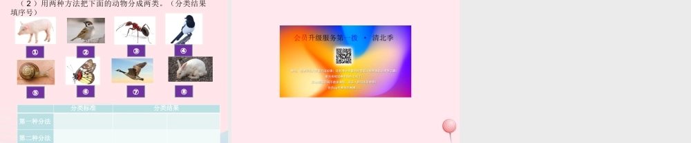 一年级科学下册 动物 6给动物分类课件 教科版-教科版小学一年级下册自然科学课件