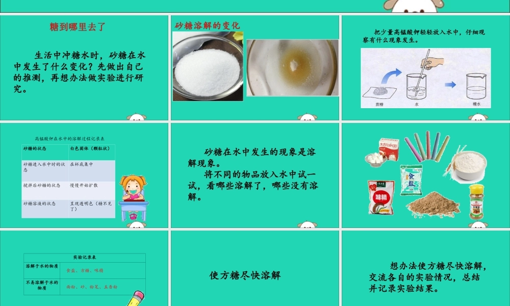 一年级科学下册 水和空气 2 糖到哪去了课件 冀教版-冀教版小学一年级下册自然科学课件