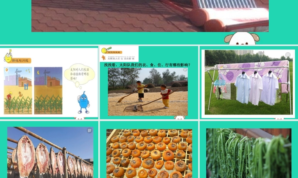 一年级科学下册 太阳和月亮 7 太阳与生活课件 冀教版-冀教版小学一年级下册自然科学课件