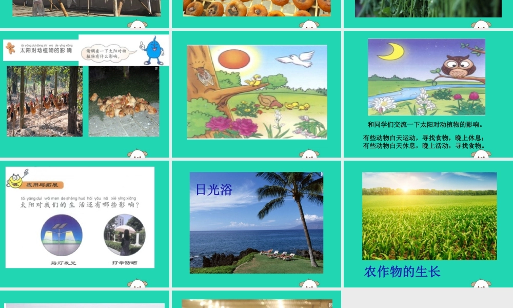 一年级科学下册 太阳和月亮 7 太阳与生活课件 冀教版-冀教版小学一年级下册自然科学课件