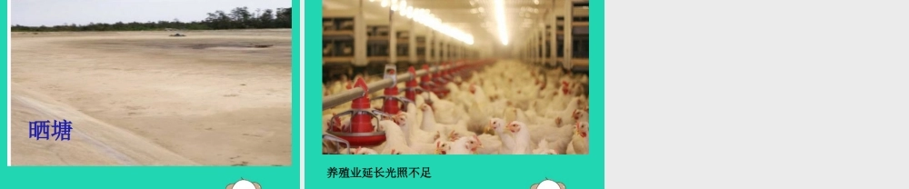 一年级科学下册 太阳和月亮 7 太阳与生活课件 冀教版-冀教版小学一年级下册自然科学课件