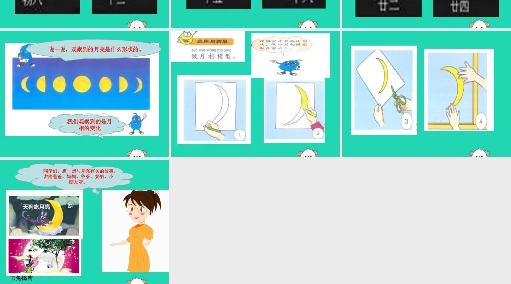 一年级科学下册 太阳和月亮 8 月亮圆了课件 冀教版-冀教版小学一年级下册自然科学课件