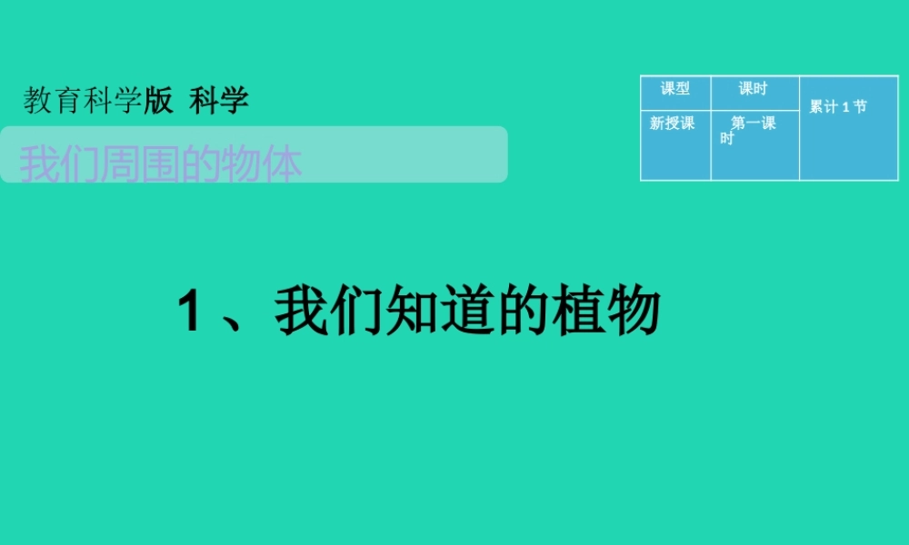 一年级科学下册 我们周围的物体 1.1《发现物体的特征》课件2 教科版-教科版小学一年级下册自然科学课件