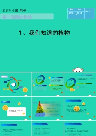 一年级科学下册 我们周围的物体 1.1《发现物体的特征》课件2 教科版-教科版小学一年级下册自然科学课件