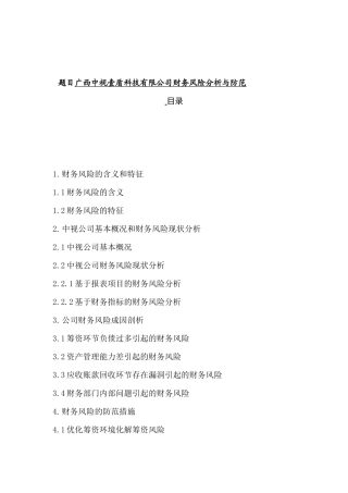 广西中视壹盾科技有限公司财务风险分析与防范分析研究  财务会计学专业