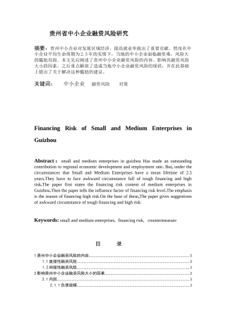 贵州省中小企业融资风险分析研究  财务会计学专业