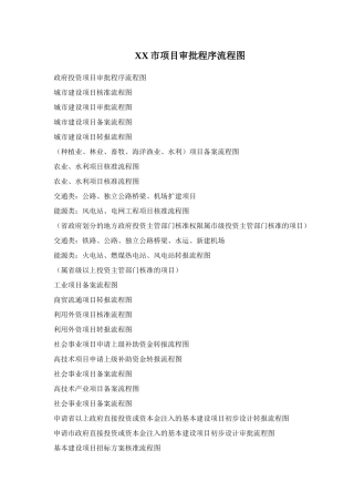 XX市项目审批程序流程图