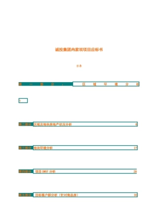 诚投集团冉家坝项目应标书