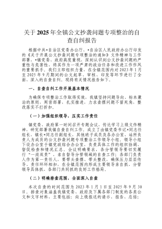 关于2025年全镇公文抄袭问题专项整治的自查自纠报告