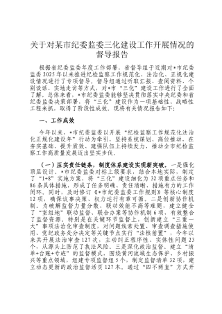 关于对某市纪委监委三化建设工作开展情况的督导报告